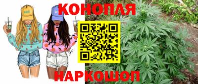 сатива Ставрополь